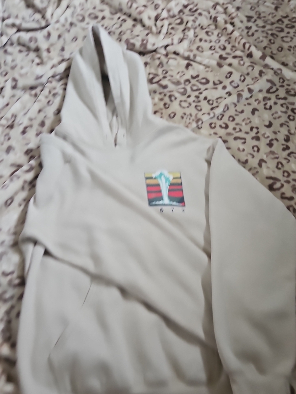 Women’s Cream Hooded Pullover Sweatshirt with Graphic Patch